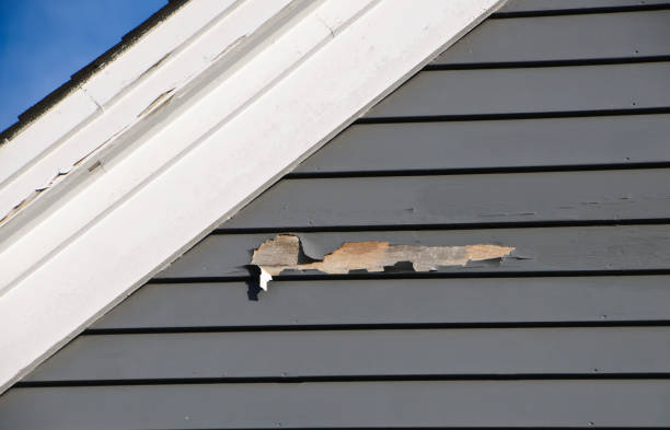 Best Shed Removal  in Kenwood Estates, FL